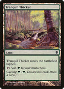 329-tranquilthicket