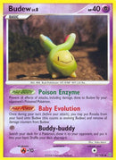 33-budew