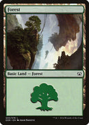33-forest