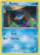 33-mudkip-sheenholo