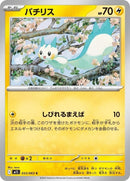 33-pachirisu