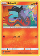 33-salandit
