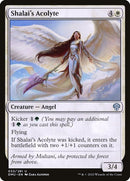 33-shalaisacolyte