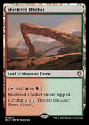 330-shelteredthicket