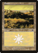 333-plains