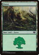 334-forest