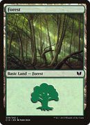 339-forest