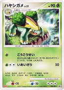 34-grotle
