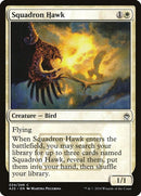 34-squadronhawk