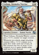 34-urdnandromokawarrior