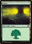 341-forest