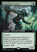 347-experimenttwelve