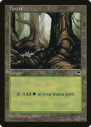 348-forest