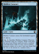 348-hiddencataract