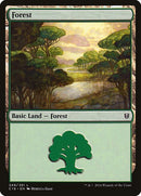 349-forest