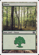 349-forest