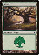 356-forest