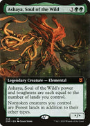 358-ashayasoulofthewild