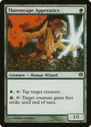 37-thornscapeapprentice