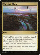 37-thrivingmoor