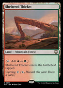 374-shelteredthicket