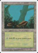 376-forest
