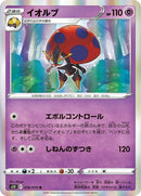 38-orbeetle