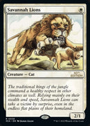 38-savannahlions