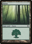 381-forest