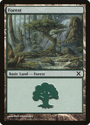 382-forest