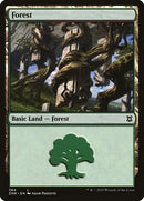 384-forest