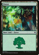 39-forest