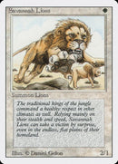 39-savannahlions