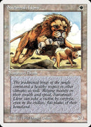 39-savannahlions