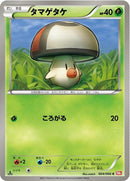 4-foongus