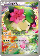 4-shaymin