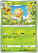 4-sunflora