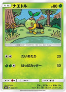 4-turtwig
