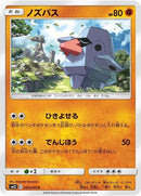 40-nosepass