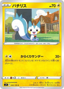 40-pachirisu