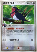 40-swellow