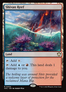 404-shivanreef
