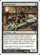 41-carrionrats