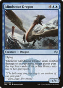 41-mindscourdragon