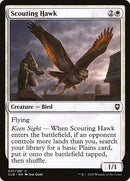 41-scoutinghawk