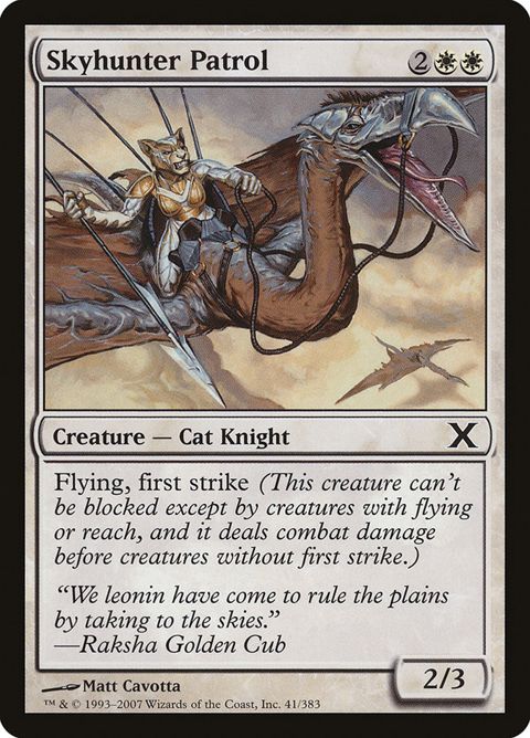 41-skyhunterpatrol
