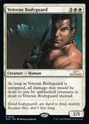 41-veteranbodyguard