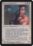 41-veteranbodyguard