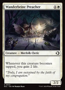 41-wanderbrinepreacher