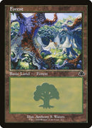 411-forest
